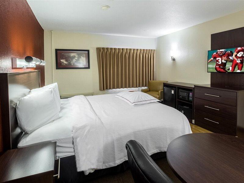 Red Roof Inn Plus+ South Deerfield - Amherst Екстериор снимка